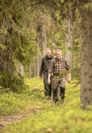 Kävele metsäpolkuja pitkin.