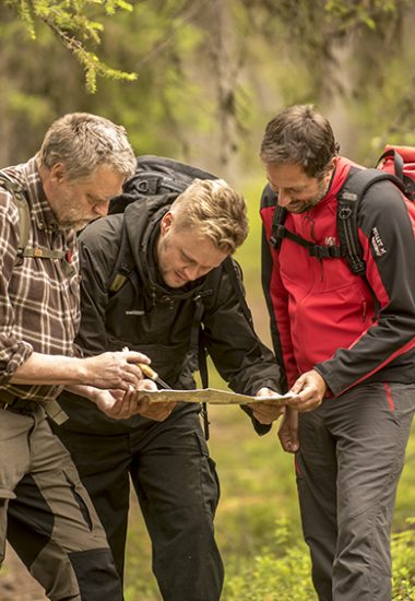 Trekking à travers les vastes forêts de Laponie