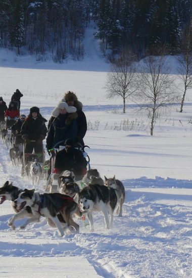 Husky-Team Fahrt