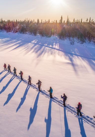 Skida genom Lapplands vinterskogar