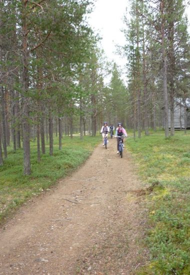 Cykla längs skogsstigar