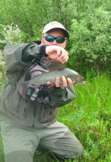 Arctic grayling